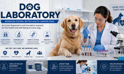 dog laboratory: Inside Modern Canine Health and Testing